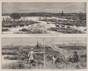 Landwirtschaft und Sport in Neufundland